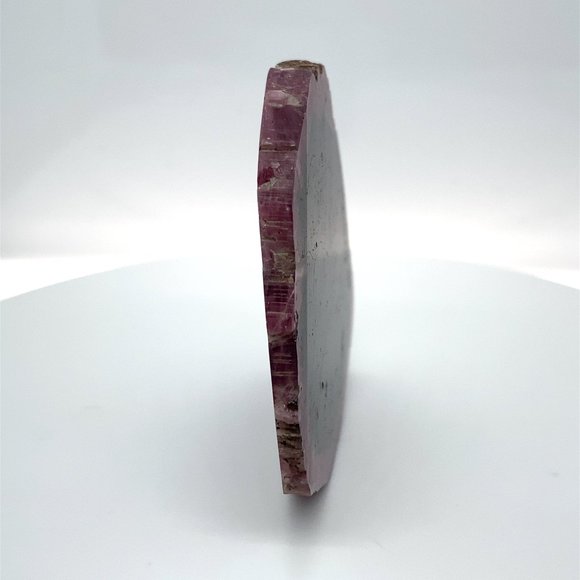 BiColor Tourmaline Slice 192.30ct - Picture 6 of 8